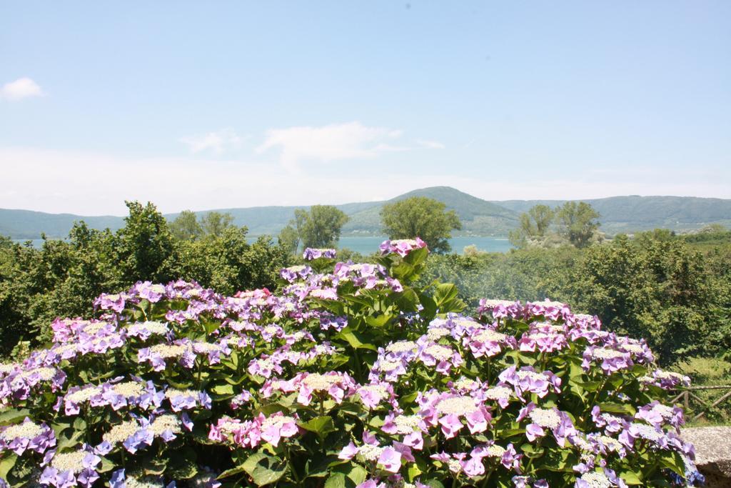 La Finestra Sul Lago Ronciglione  Luaran gambar