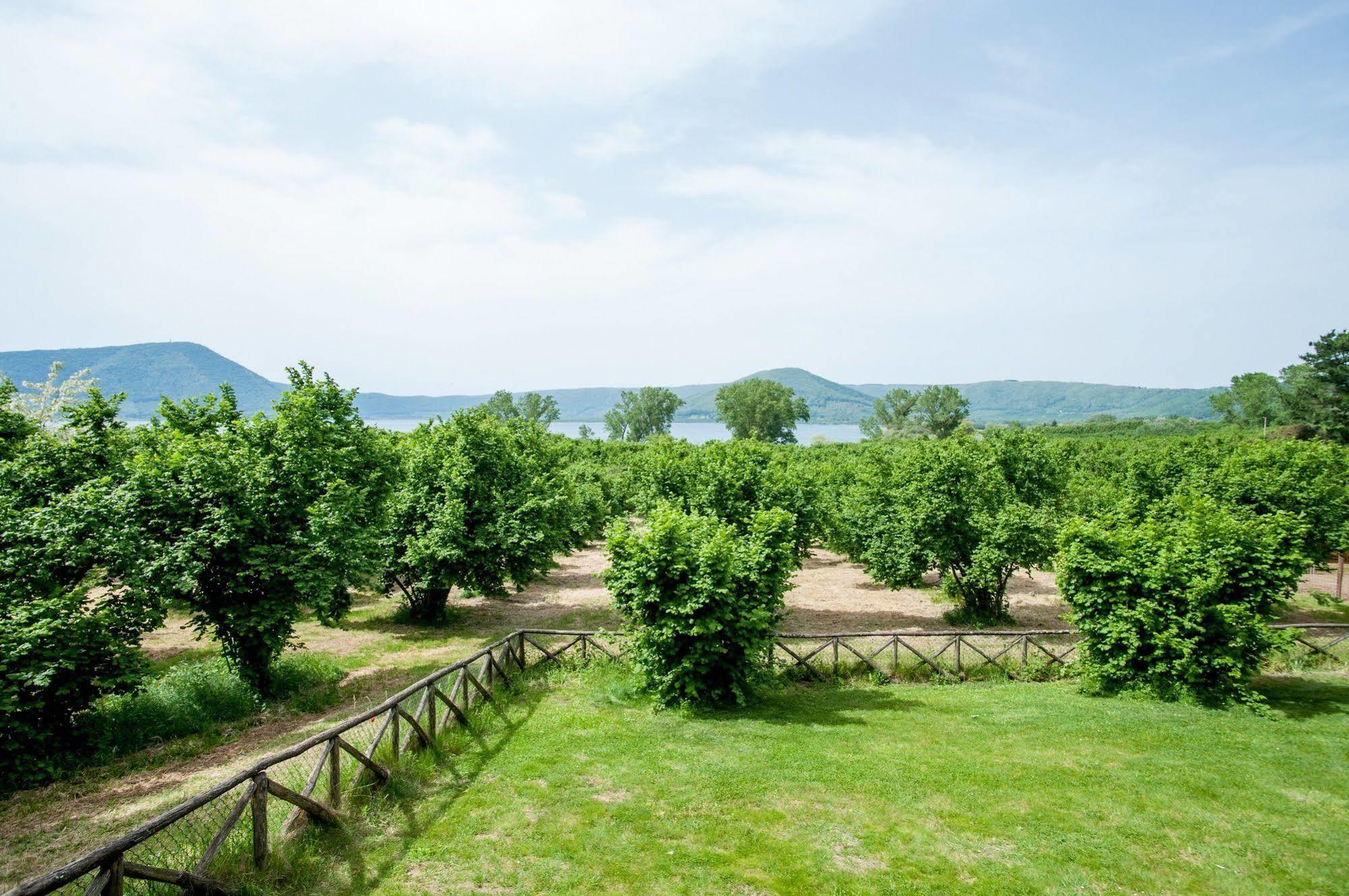 La Finestra Sul Lago Ronciglione  Luaran gambar